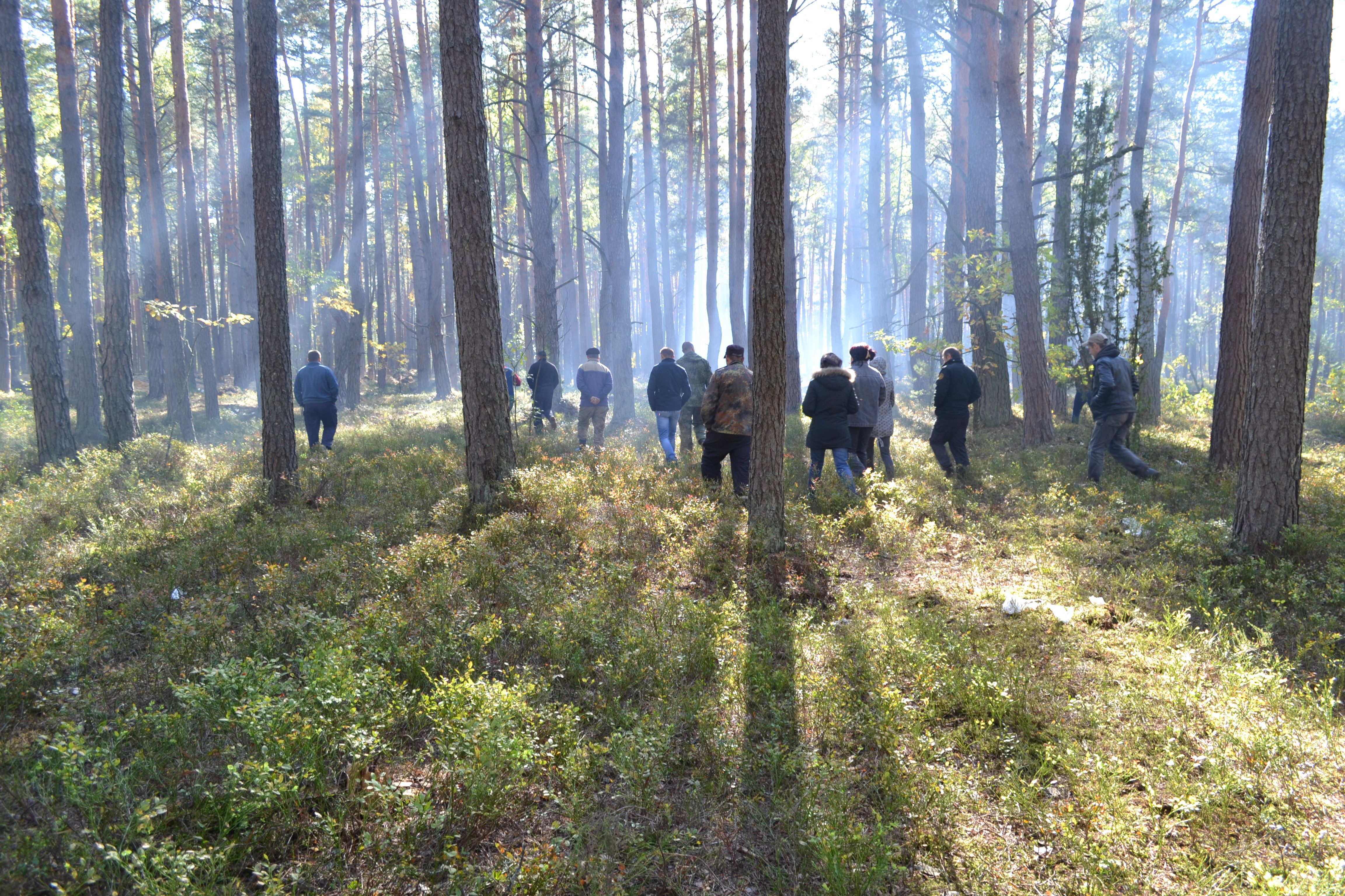 Волынский янтарь: чем завершится конфликт? Волынский янтарь: чем завершится конфликт?