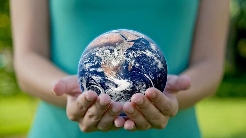 50 способов помочь Земле, которые может сделать каждый