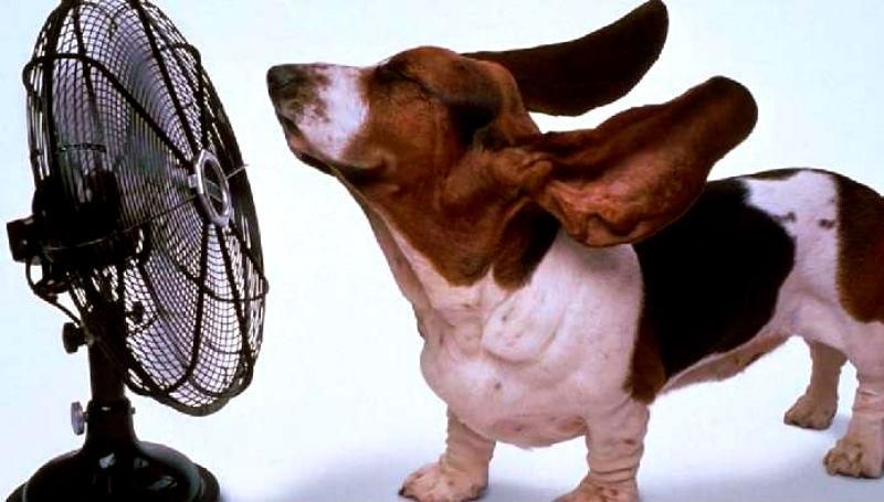 Вересень 2015 встановив новий світовий рекорд спеки Вересень 2015 встановив новий світовий рекорд спеки