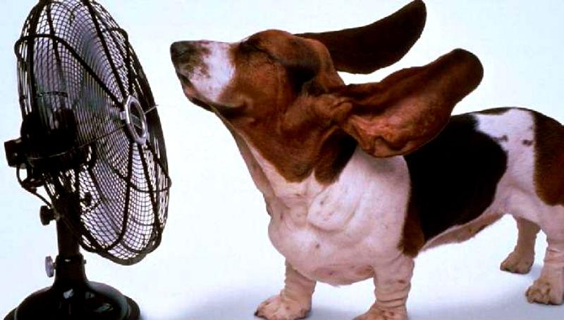 Сентябрь 2015 установил новый мировой рекорд жары