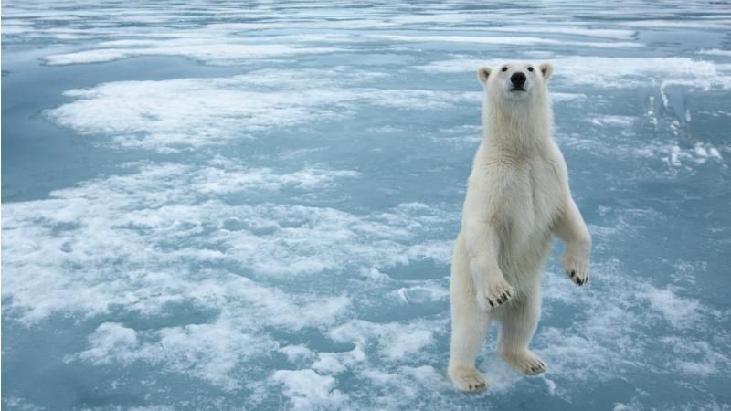 Ученый назвал, когда растает вечная мерзлота Ученый назвал, когда растает вечная мерзлота