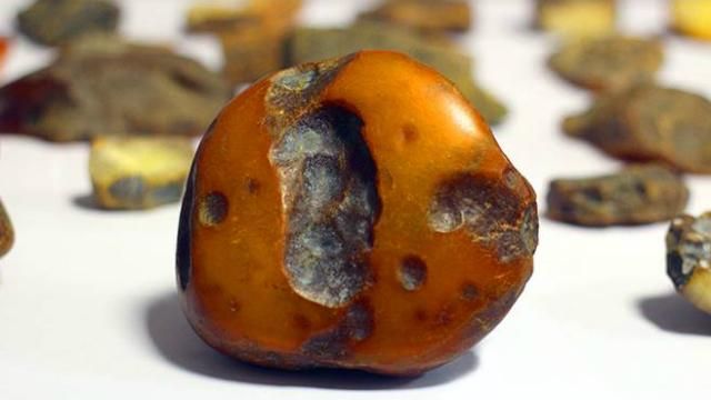 Контрабандист в рясе: священник скупал и перепродавал янтарь Контрабандист в рясе: священник скупал и перепродавал янтарь