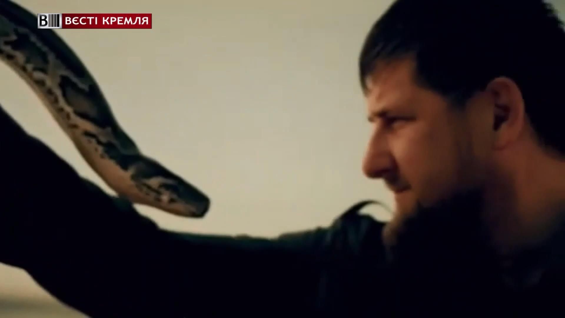 Кадыров порвал интернет роликом обуздания змеи
