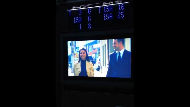 В Житомире тоже агитируют в день тишины В Житомире тоже агитируют в день тишины