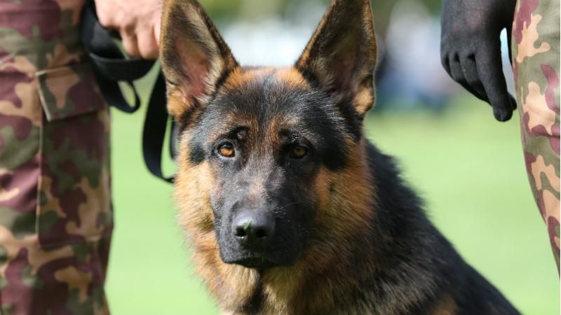 В одеському університеті шукають вибухівку В одеському університеті шукають вибухівку