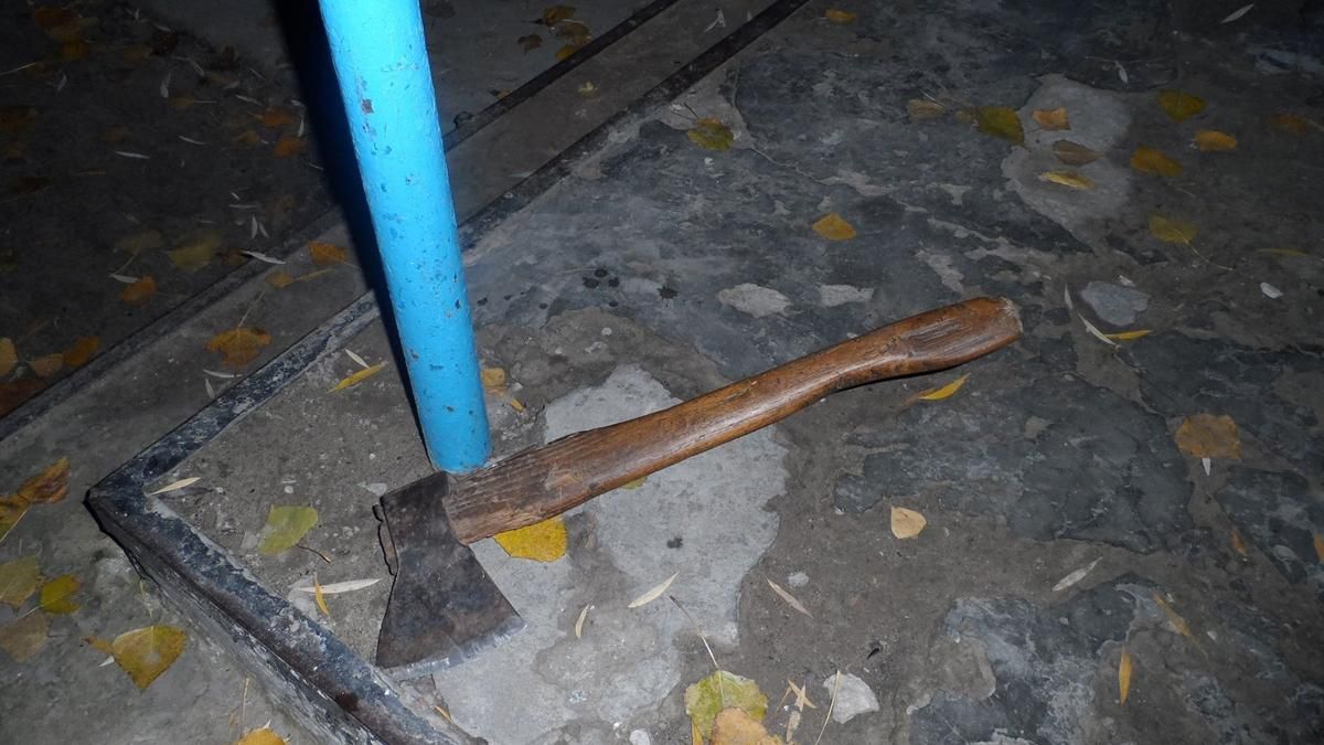 На Херсонщині чоловік прийшов голосувати з сокирою На Херсонщині чоловік прийшов голосувати з сокирою