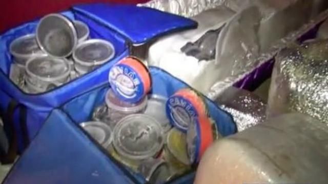 Невероятный "улов" российских полицейских: полтонны икры вместо мертвеца Невероятный "улов" российских полицейских: полтонны икры вместо мертвеца