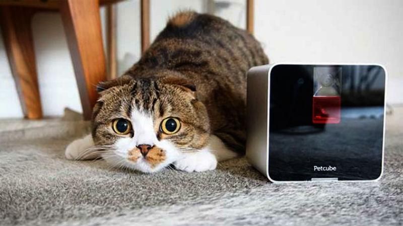 В продажу поступила нашумевшая разработка украинцев, ученые напечатали сердце на 3D-принтере В продажу поступила нашумевшая разработка украинцев, ученые напечатали сердце на 3D-принтере