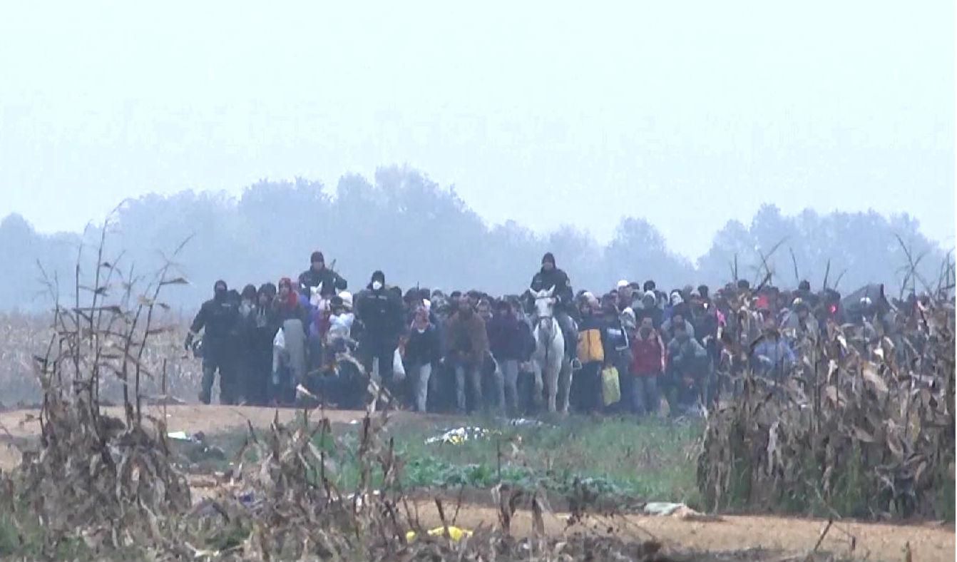 Словения будет строить на границе забор, чтобы защититься от беженцев Словения будет строить на границе забор, чтобы защититься от беженцев