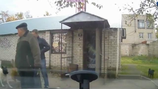 Мережу підкорює кумедне відео, як зграя собак збила з ніг чоловіка Мережу підкорює кумедне відео, як зграя собак збила з ніг чоловіка