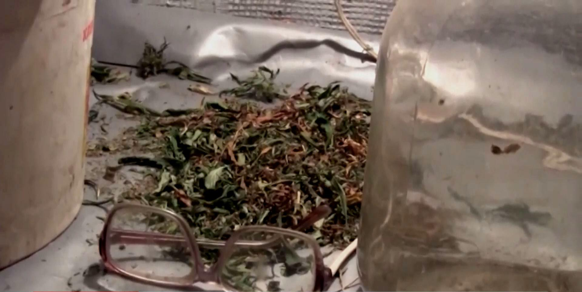 Киевского пенсионера-"наркобарона" задержала милиция