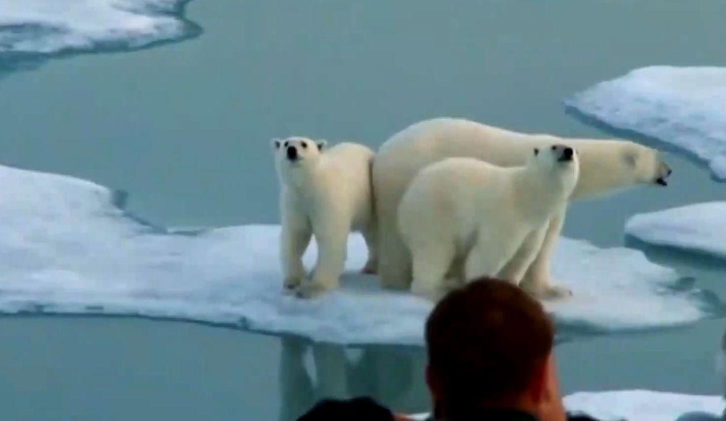 Особливості російського туризму: нове місце відпочинку зірок турецького танцполу Особливості російського туризму: нове місце відпочинку зірок турецького танцполу