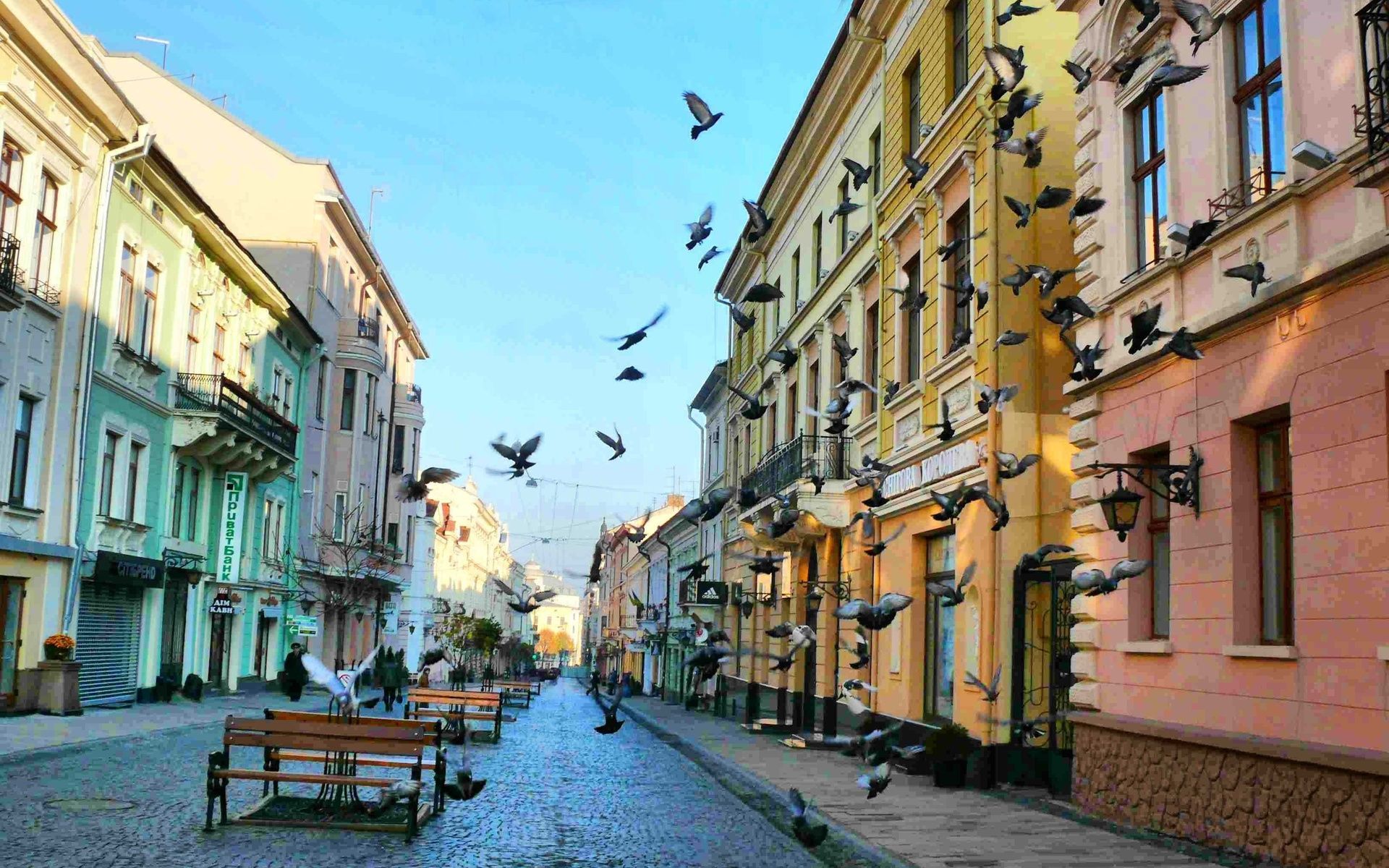 Переименовали полсотни улиц в Черновцах