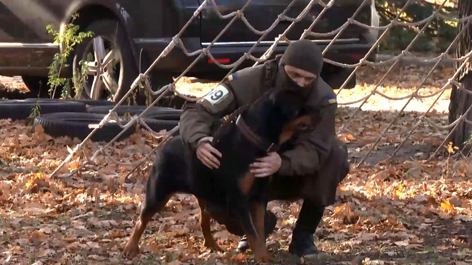 Військові показали, як тренують собак для зони АТО Військові показали, як тренують собак для зони АТО