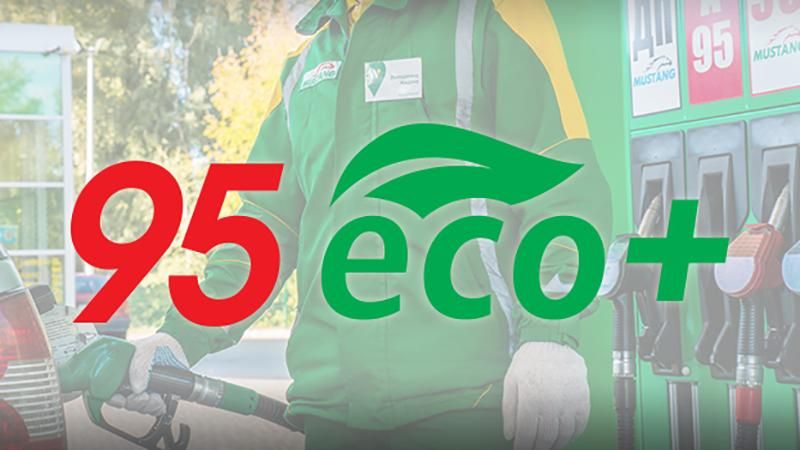 Биотопливо 95 eco+ не содержит вредных канцерогенных веществ Биотопливо 95 eco+ не содержит вредных канцерогенных веществ