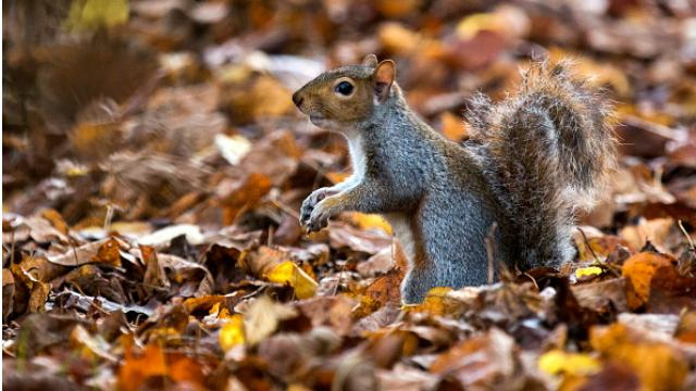 Украинцев предупредили о похолодании