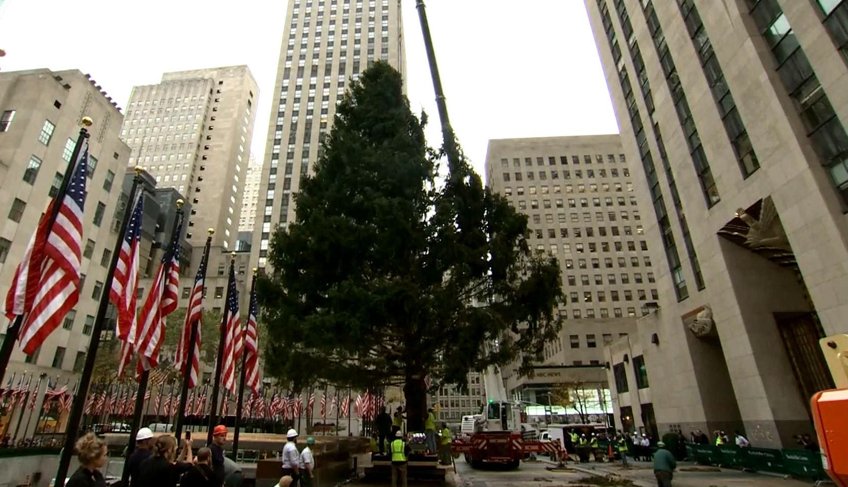 Праздничная елка уже стоит в Нью-Йорке