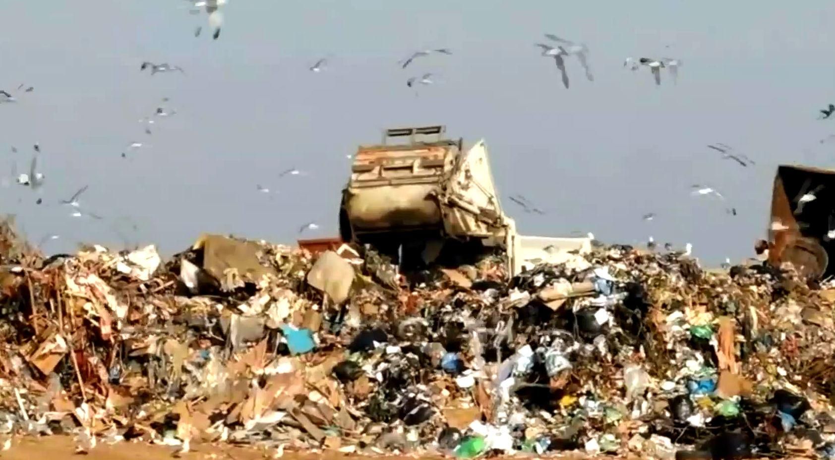 Какую пользу несет мусор Какую пользу несет мусор