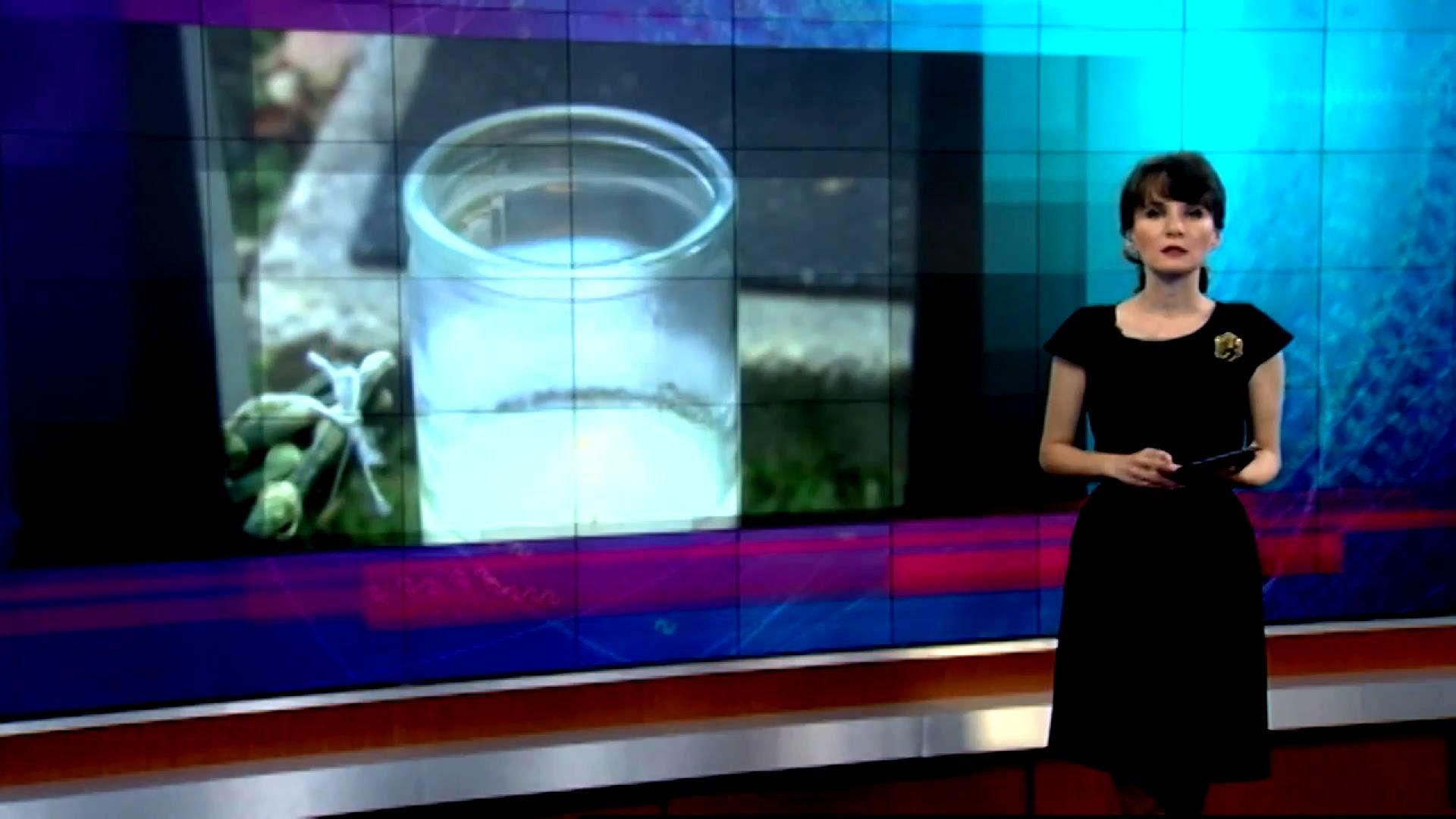 Настоящее время. Итоги. Версії падіння літака в Єгипті, "іноземні агенти" в Росії Настоящее время. Итоги. Версії падіння літака в Єгипті, "іноземні агенти" в Росії