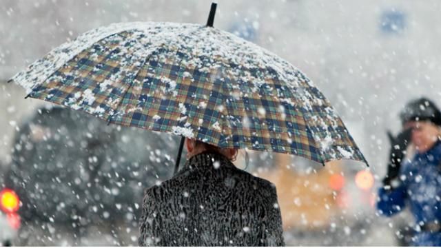 Не забудьте зонты: какой будет погода на следующей неделе Не забудьте зонты: какой будет погода на следующей неделе