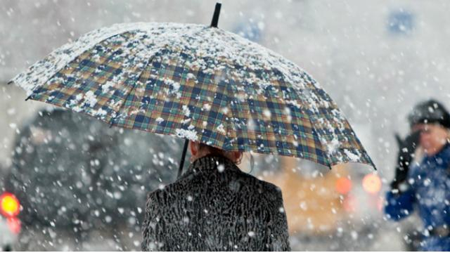 Не забудьте зонты: какой будет погода на следующей неделе