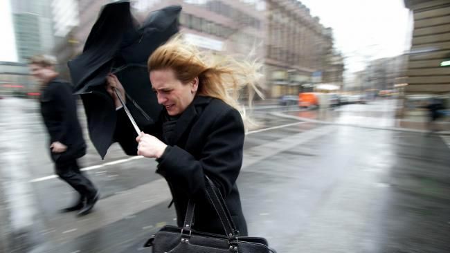 В Україні оголосили штормове попередження - 9 листопада 2015 - Телеканал новин 24 В Україні оголосили штормове попередження - 9 листопада 2015 - Телеканал новин 24