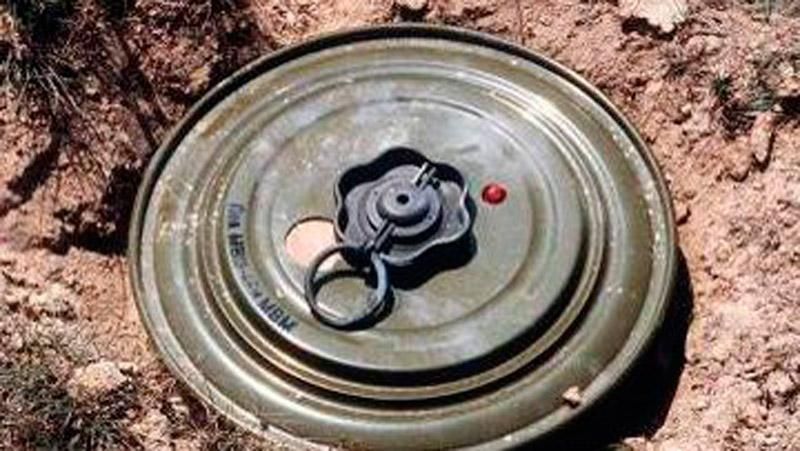 Супруги подорвались на мине под Мариуполем Супруги подорвались на мине под Мариуполем