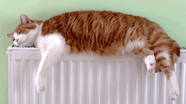 У "Київенерго" спрогнозували, скільки платитимуть кияни за опалення У "Київенерго" спрогнозували, скільки платитимуть кияни за опалення