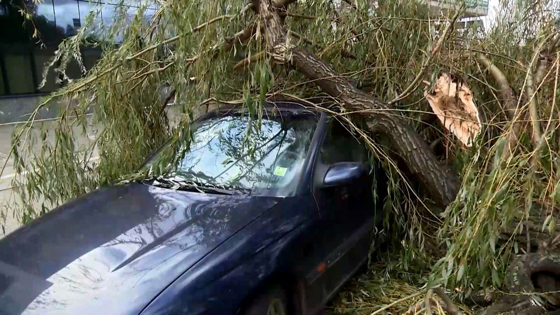На боротьбу із негодою в Польщі кинуто 8 тисяч рятувальників На боротьбу із негодою в Польщі кинуто 8 тисяч рятувальників