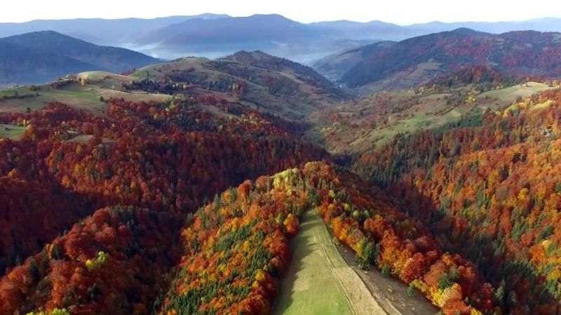 У мережі з'явилося вражаюче відео осінніх Карпат  