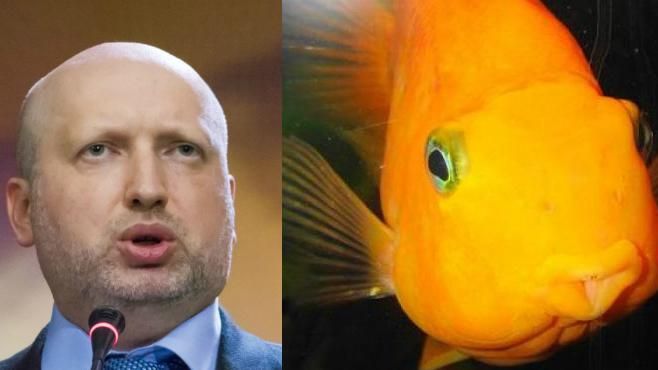 Внешность известных политиков сравнили с изображением животных Внешность известных политиков сравнили с изображением животных