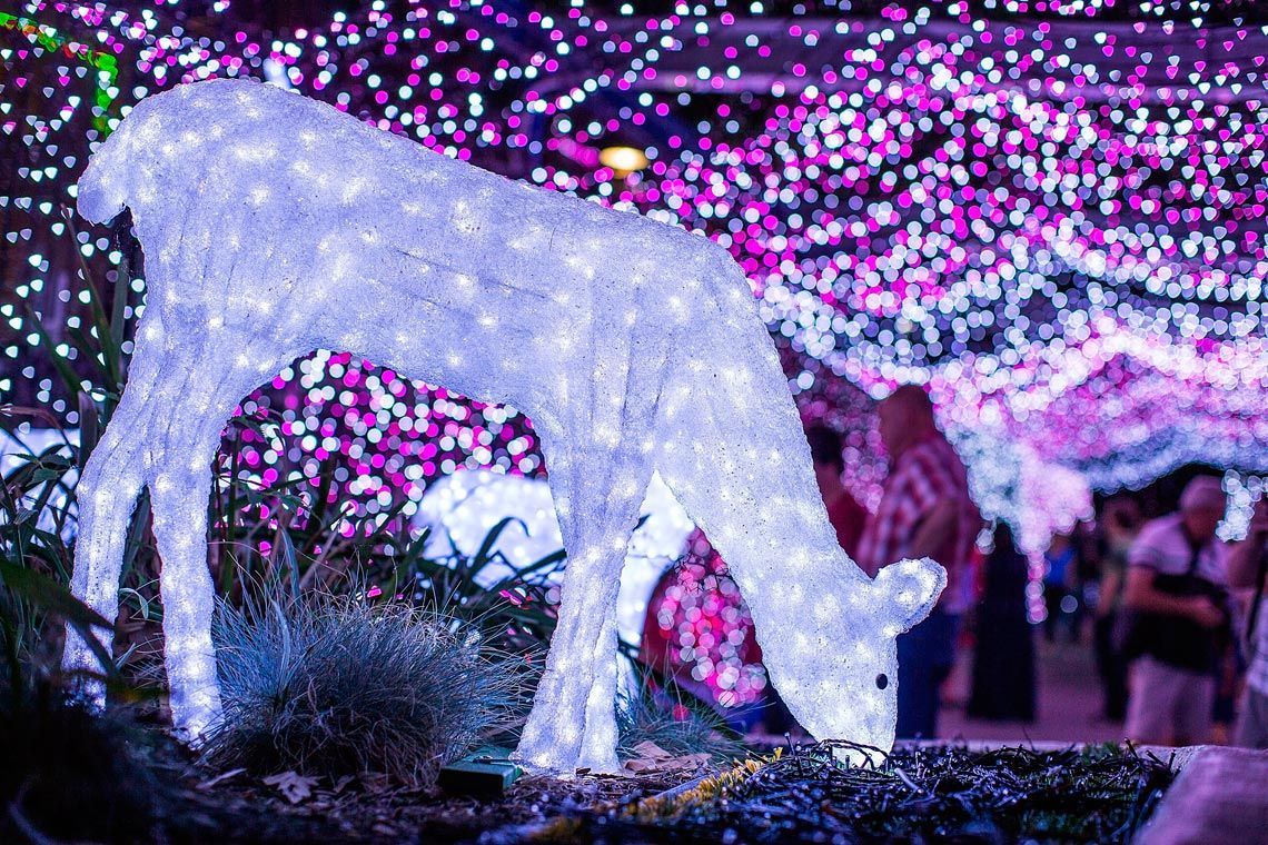 Українцям рекомендують дати сім вихідних на новорічні свята Українцям рекомендують дати сім вихідних на новорічні свята