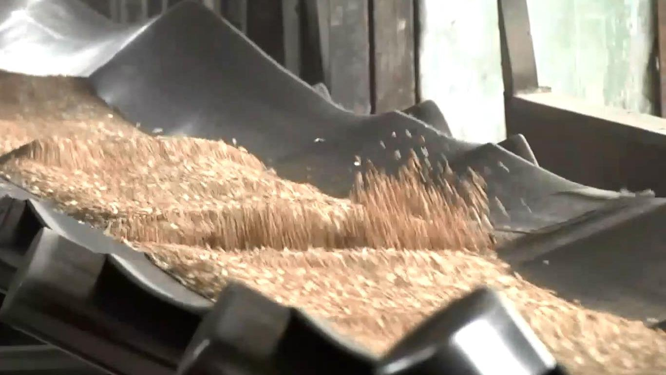 Переориентация с СНГ на Северную Корею: украинские аграрии увеличили экспорт зерна