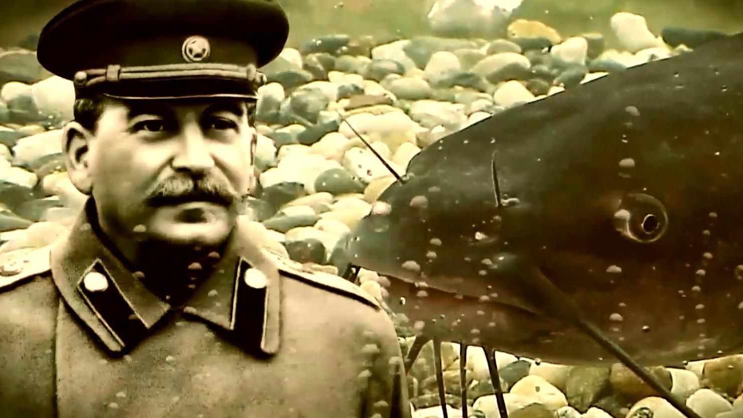 Новая сенсация российского ТВ: сом воевал с нацистами