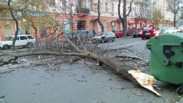 Сильный ветер повалил в Одессе деревья и трубы. Есть раненые