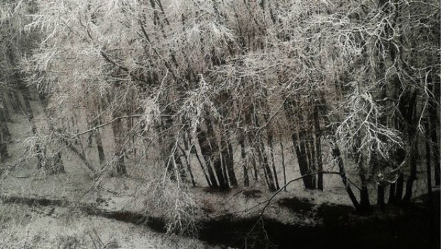 Украинцы радуются снегу: лучшее из Іnstagram Украинцы радуются снегу: лучшее из Іnstagram