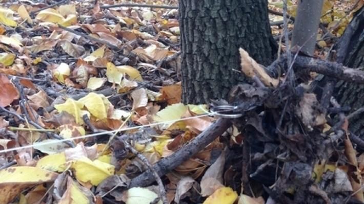 На Донеччині двоє мирних мешканців підірвались на розтяжці На Донеччині двоє мирних мешканців підірвались на розтяжці