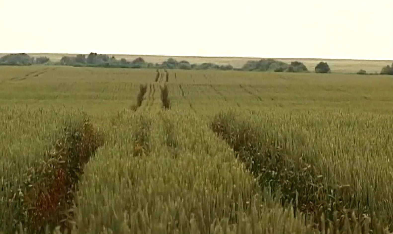 Земля не будет товаром до 2017 года Земля не будет товаром до 2017 года