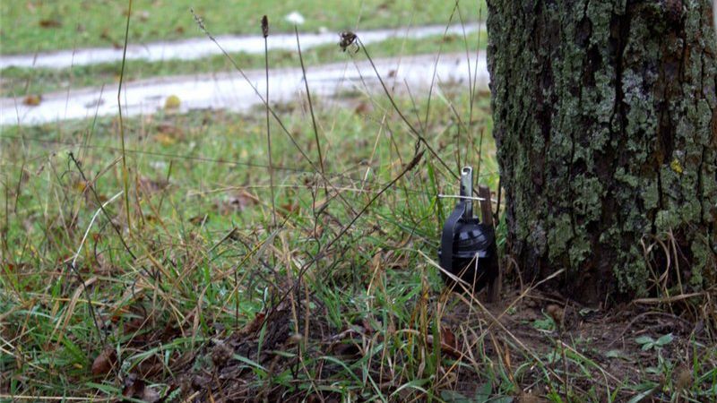 В Луганской области на растяжке подорвались местная жительница и военный В Луганской области на растяжке подорвались местная жительница и военный