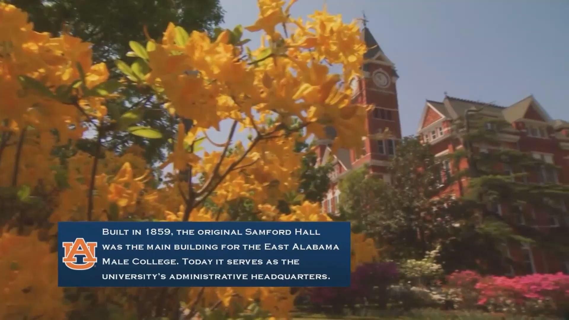 Лучшие вузы США дают возможность получать образование и практиковаться в ведущих компаниях Лучшие вузы США дают возможность получать образование и практиковаться в ведущих компаниях