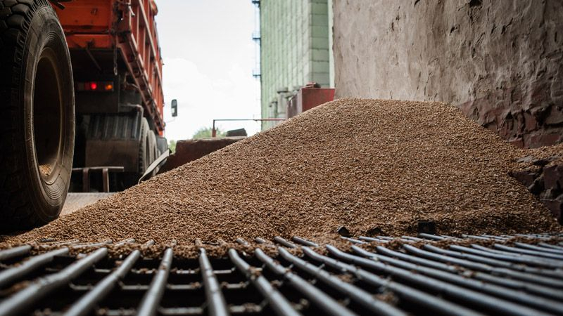 Россия массово вывозит из Крыма хлеб