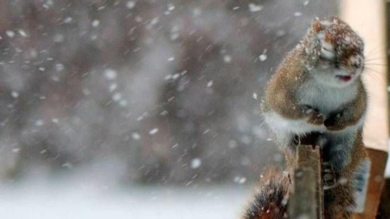 Погода готує українцям неприємний сюрприз Погода готує українцям неприємний сюрприз