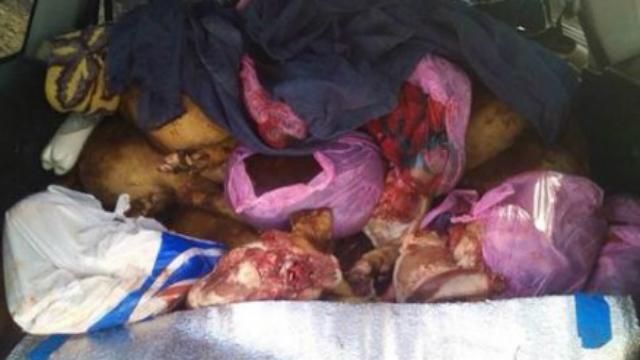 Пограничники задержали рекордную партию контрабанды для террористов Пограничники задержали рекордную партию контрабанды для террористов