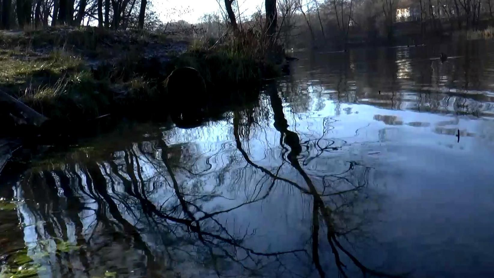 Угроза экологической катастрофы: река в Сумской области стала "кровавой"
