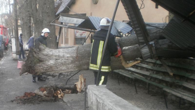 Через негоду в Україні знеструмлені сотні населених пунктів, є постраждалі Через негоду в Україні знеструмлені сотні населених пунктів, є постраждалі