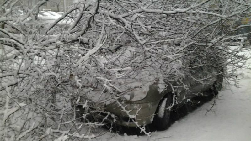 Снігова буря накрила Харків 