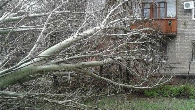 Смертельная непогода в Одесской области: один человек погиб, десятки сел остались без света