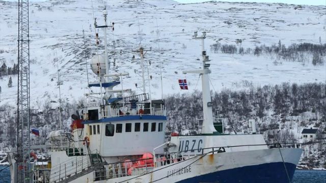 Російські моряки влипли у скандал: розкидали рибу біля Норвегії Російські моряки влипли у скандал: розкидали рибу біля Норвегії