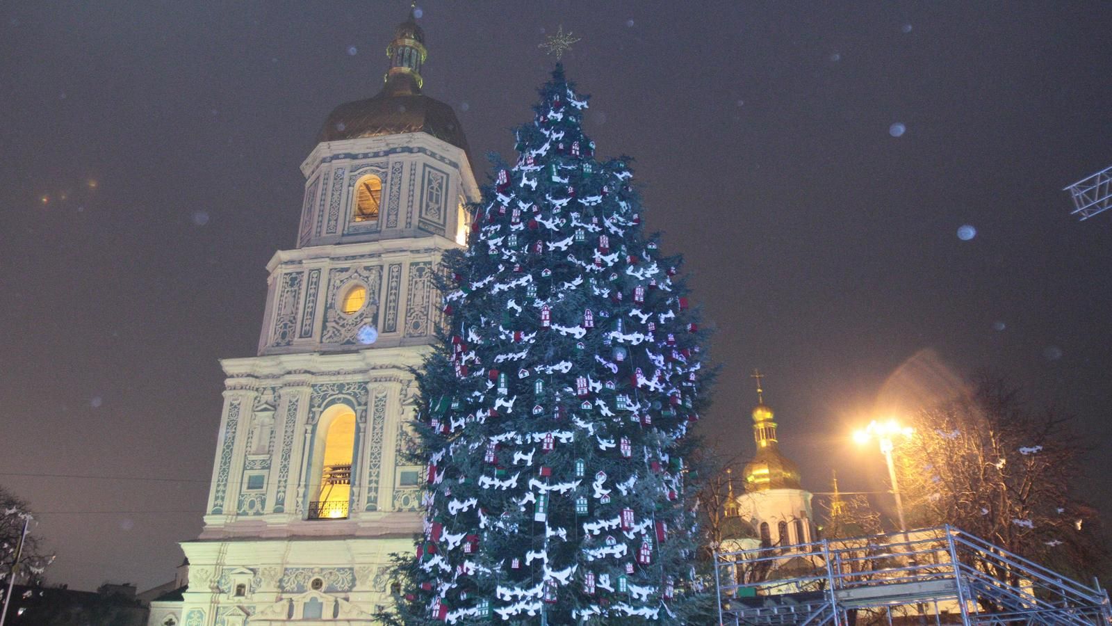 В субботу в Киев прибудет главная елка страны