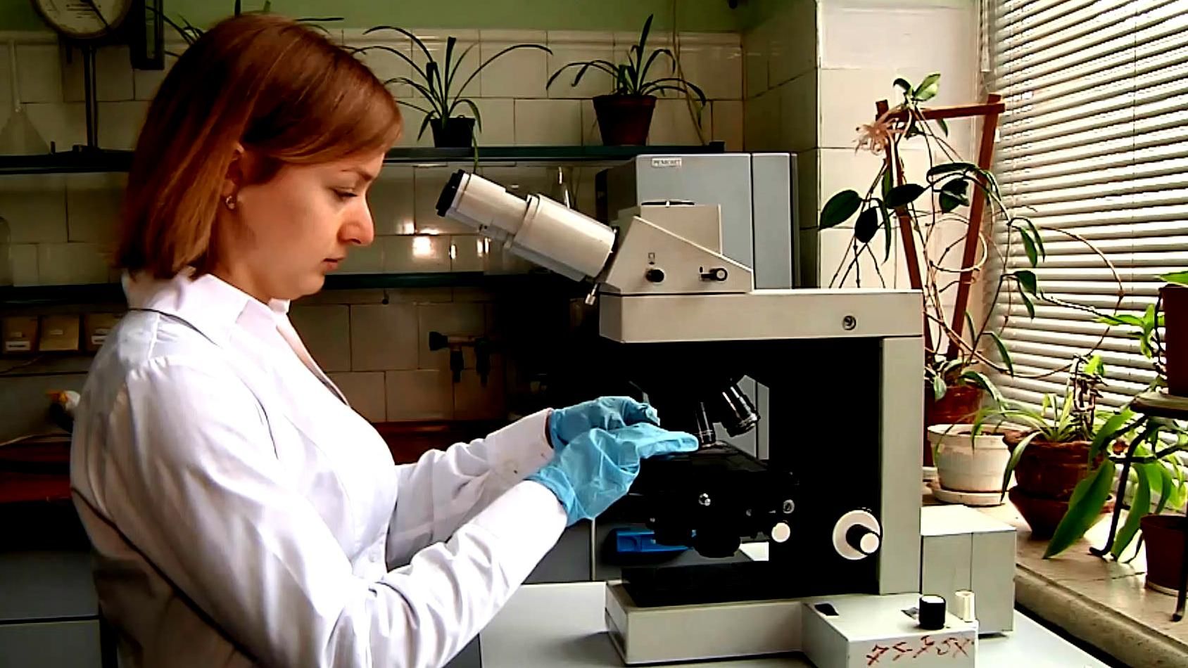 Львівські вчені представили ноу-хау в медицині — рідинну пов'язку Львівські вчені представили ноу-хау в медицині — рідинну пов'язку